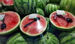 吃瓜娱乐照片图片,吃瓜照片背后的故事