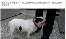 巴哥最新爆料事件新闻,揭秘娱乐圈惊人内幕