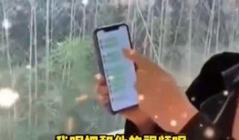 张兰爆料原视频,真实事件背后的惊人内幕